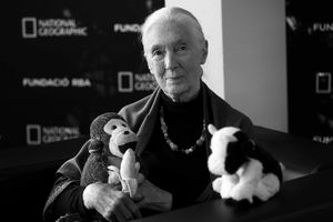 Nie żyje Jane Goodall