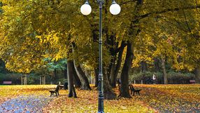 Park Sołacki w Poznaniu