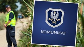 policja