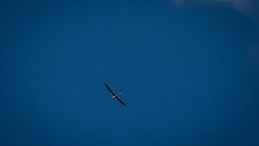 dron