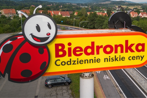 Biedronka logo 
