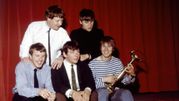 The Animals