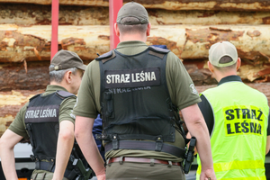 straz lesna