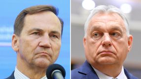 Szef MSZ Radosław Sikorski. Premier Węgier Viktor Orban