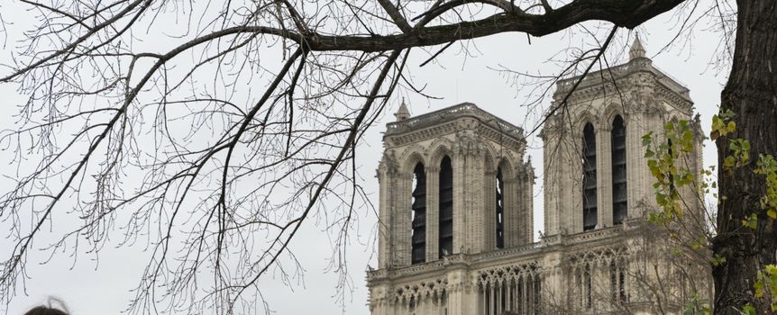 Katedra Notre Dame