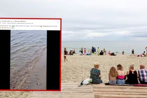 plaża w Krynicy Morskiej