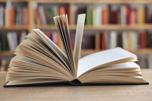 Uwielbiana polska lektura doczeka się ekranizacji? Producenci postawili już pierwsze kroki