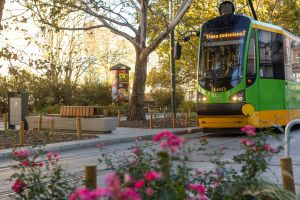 Tramwaj w Poznaniu