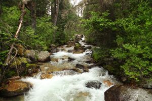 Red Lodge Creek w Montanie
