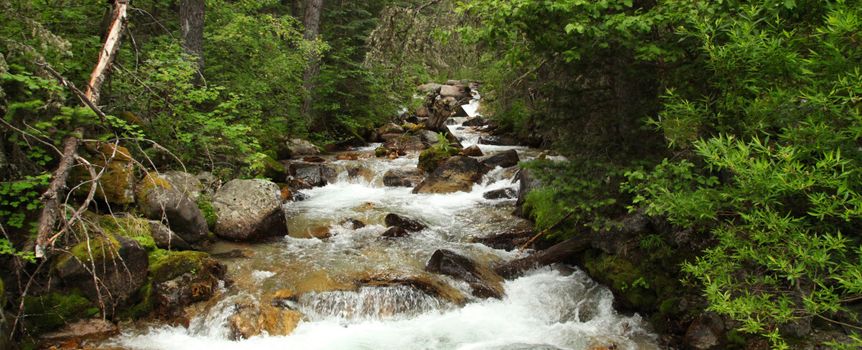 Red Lodge Creek w Montanie