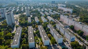 Obowiązkowa deratyzacja na osiedlach w Poznaniu