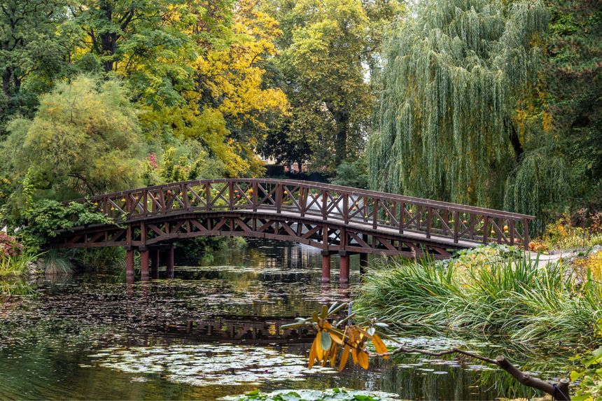 Ogród Botaniczny Uniwersytetu Wrocławskiego
