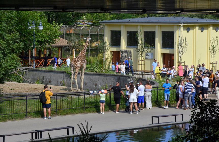 ZOO Wrocław
