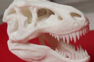 Plastikowa głowa dinozaura