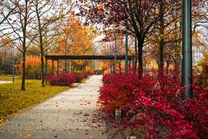 Park Rataje w Poznaniu