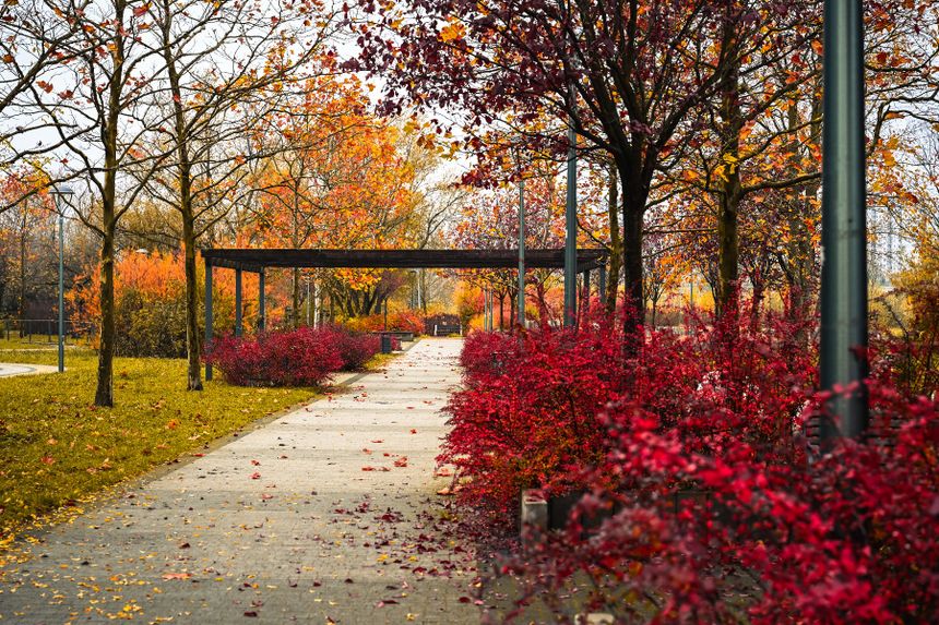 Park Rataje w Poznaniu