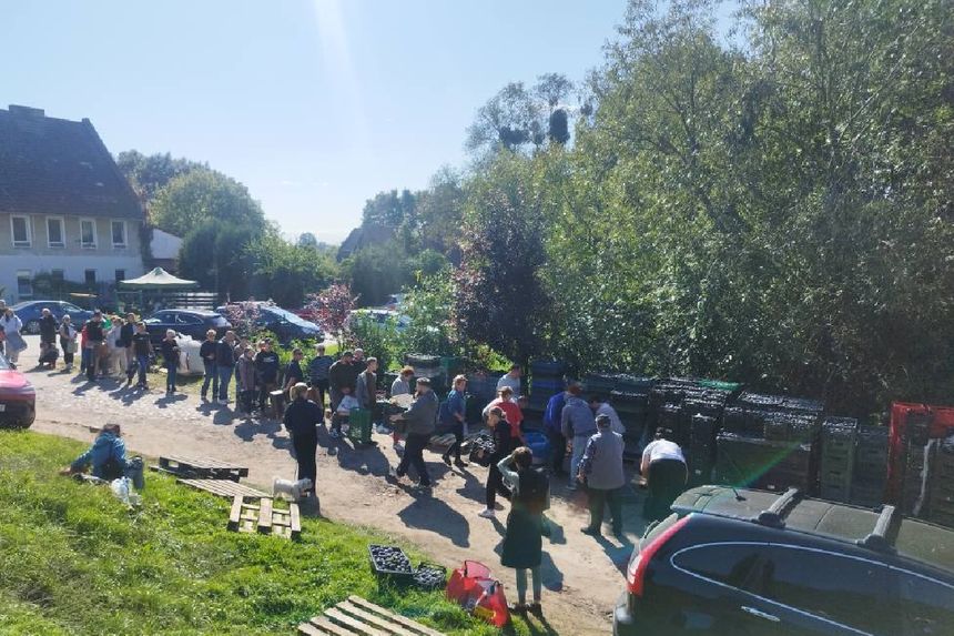 Akcja internautów i wykupywanie śliwek