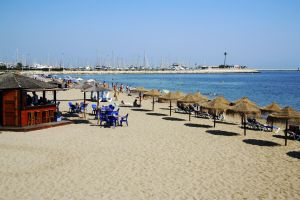 Alicante
