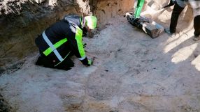 Badania archeologiczne pod Poznaniem