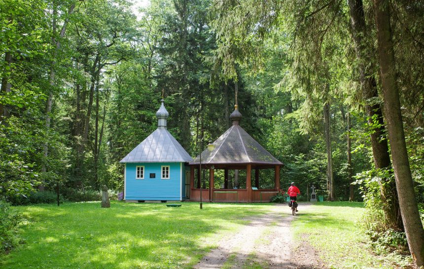Krynoczka