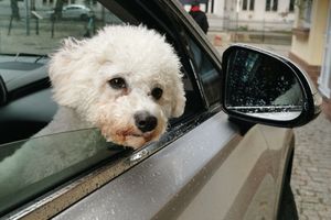 Mandat za brudne szyby to nawet 500 zł