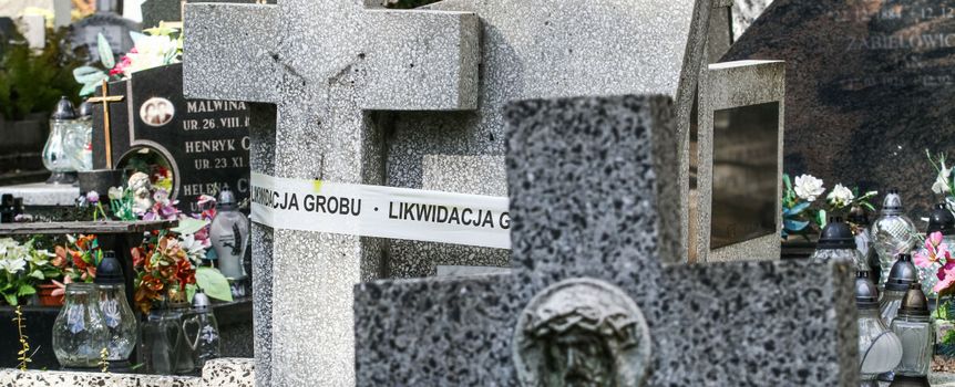cmentarz, grób