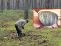 grzybobranie/artefakty znalezione w mazurskim lesie