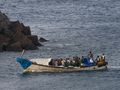 Migranci