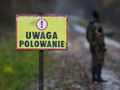 Polowanie