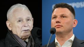 PiS Konfederacja