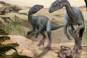 Naukowcy odkryli nowy gatunek dinozaura, Anteavis crurilongus