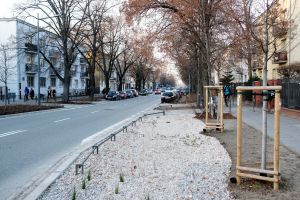 Ulica Francuska
