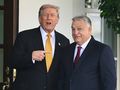 Trump i Orban