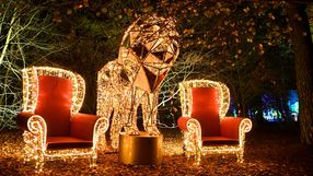 Lumina Park w Poznaniu