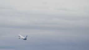 USA szykują się do deportowania grupy Ukraińców