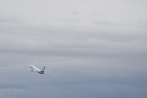 USA szykują się do deportowania grupy Ukraińców