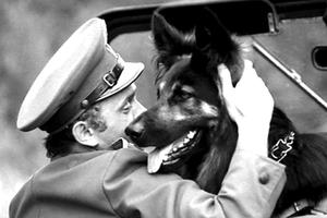 Kadr z serialu "Przygody psa Cywila"