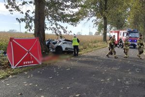 wypadek