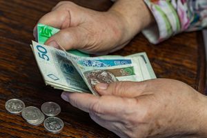 zus, pieniadze, senior