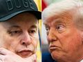 Musk Trump