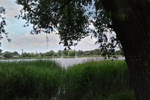 Jezioro Dymaczewskie
