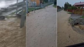 zalania