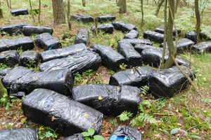 Pakunki zostawione w lesie