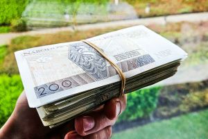 plik banknotow