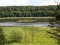 Miedzno
