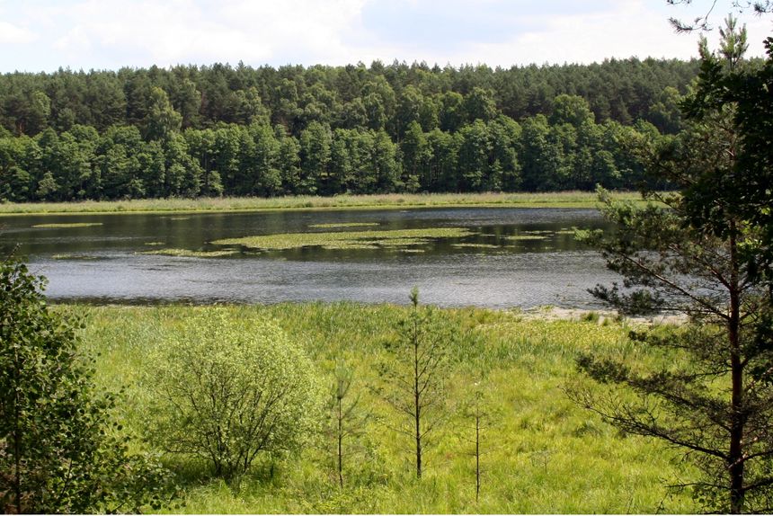 Miedzno