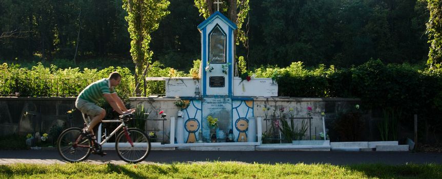 Dolna Wilda w Poznaniu