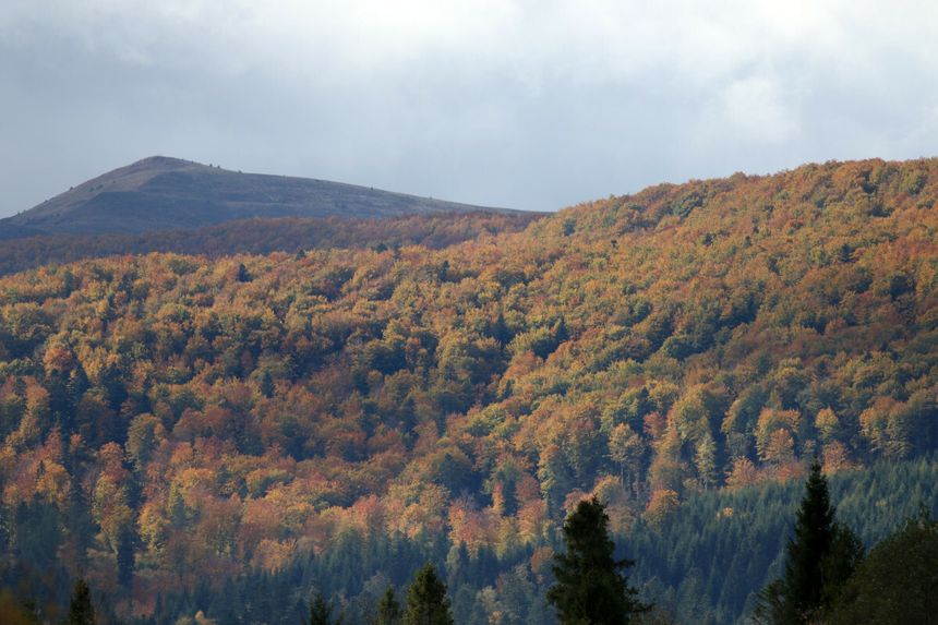 Bieszczady