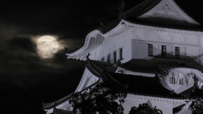 Zamek Himeji