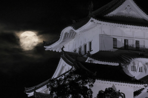 Zamek Himeji
